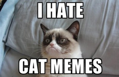 Grumpy-cat-meme-1