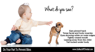 Child and Dog - Prevent Bites