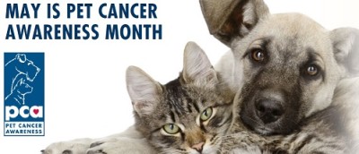 May Pet Cancer Awareness Month