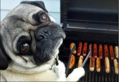 You-Want-Yours-Licked-Or-Not-Licked-Funny-Dog-BBQ-Grilling