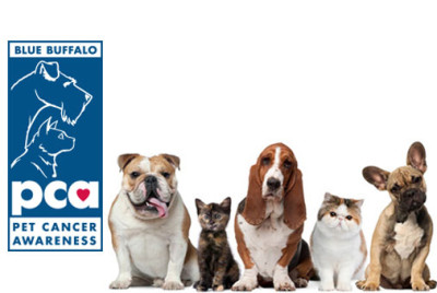 Blue Buffalo Foundation Pet Cancer Awareness