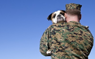 veteran-service-dog-ftr