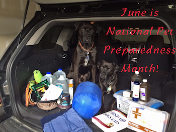 June-Is-National-Pet-Preparedness-Month