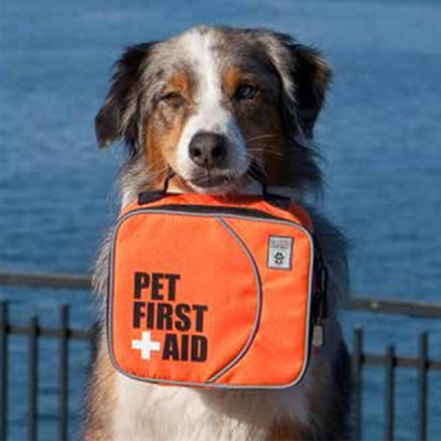 pet-first-aid-kit-canine-friendly-2