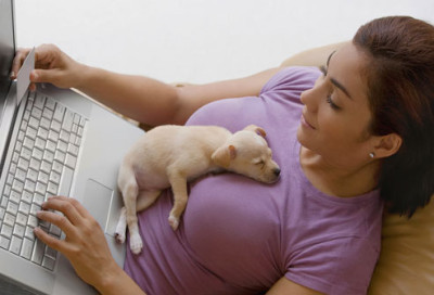 photolibrary_rf_photo_of_puppy_laying_on_woman