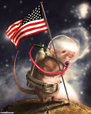 The-Space-Rat-106072