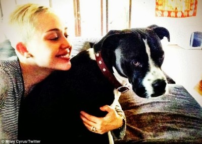 Miley Cyrus with dog1
