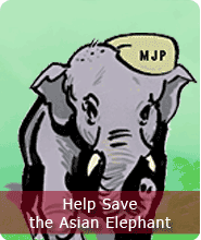 Save_elephant