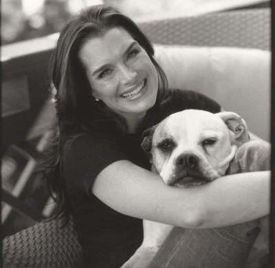 Bow Wow Meow To Brooke Shields For Supporting ARF!