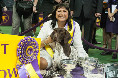 Annual Westminster Kennel Club Dog Show