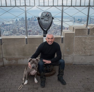 Cesar Millan, world-renowned dog behaviorist with a pit-bull named Junior, visits The Empire State Building, Thursday, Feb. 4, 2016.