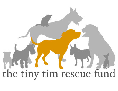 TinyTimRescue