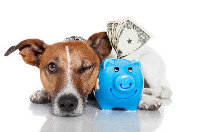 Dog-Saving-Money